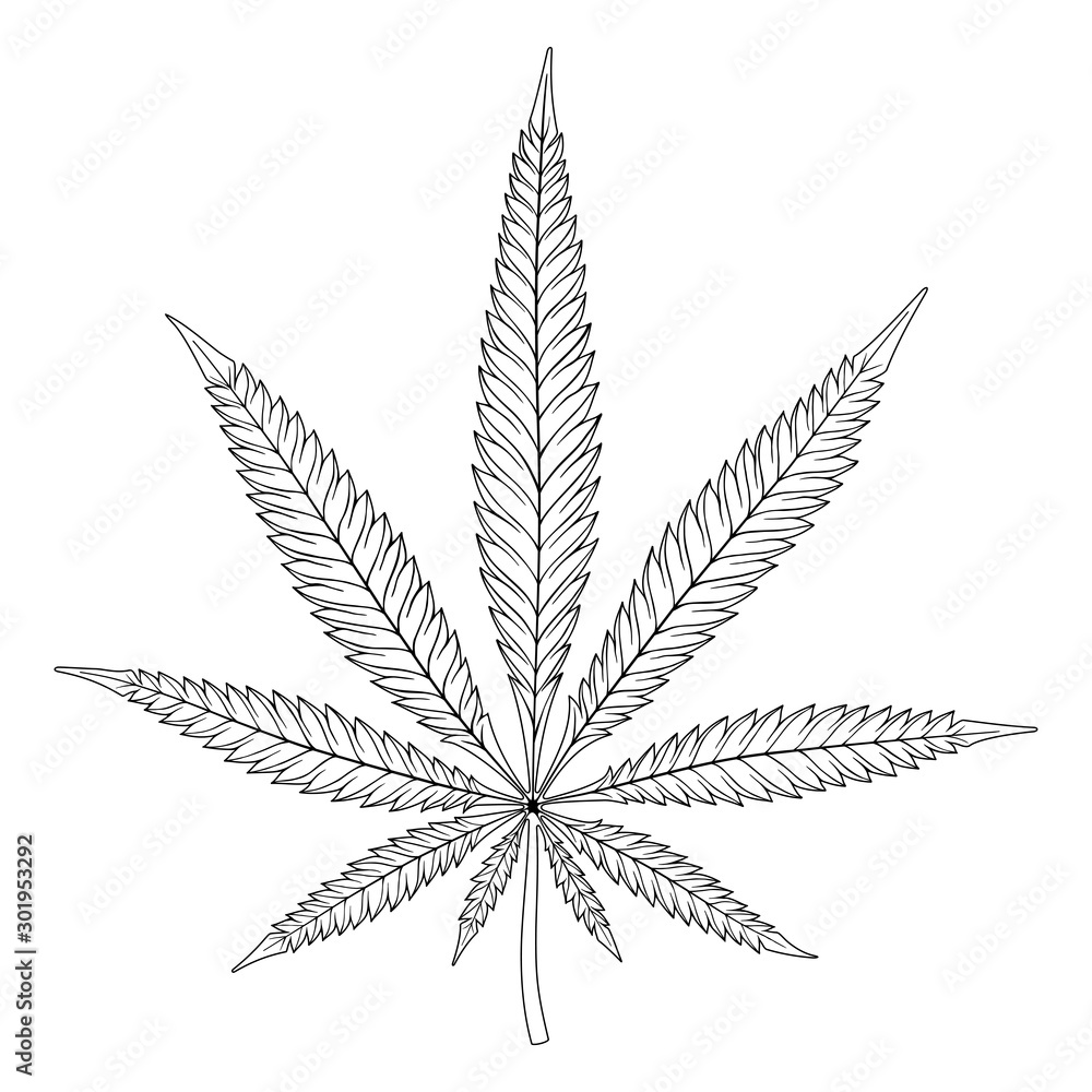 Black and White Icon of Hemp Leaf Black and White Icon of Hemp Leaf