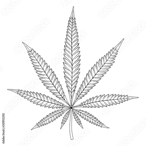 Black and White Icon of Hemp Leaf