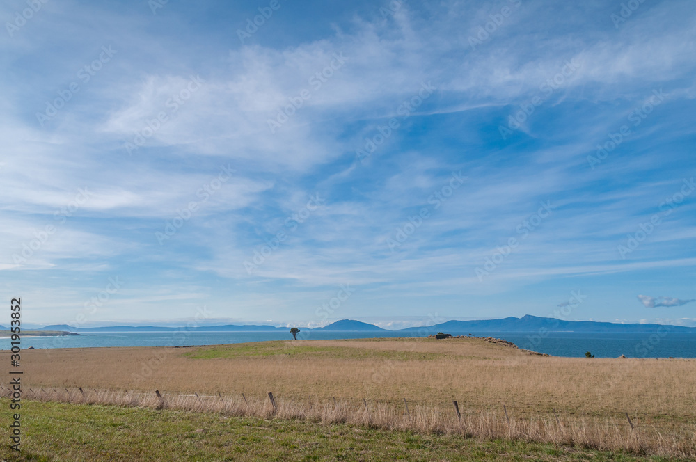 Agriculture field with dry yellow brown grass on sunny day