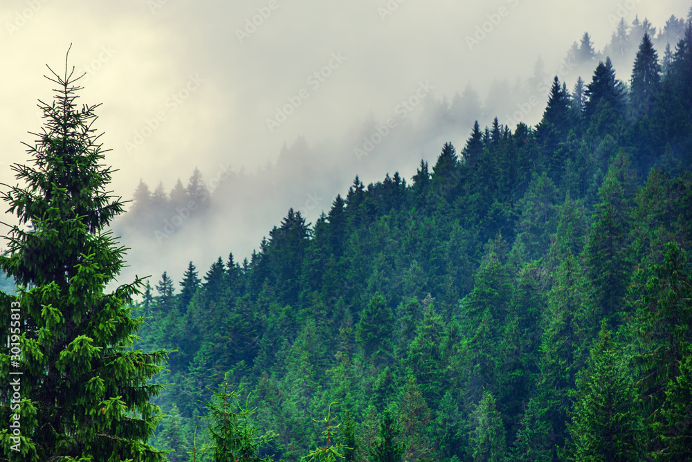 Misty mountain landscape