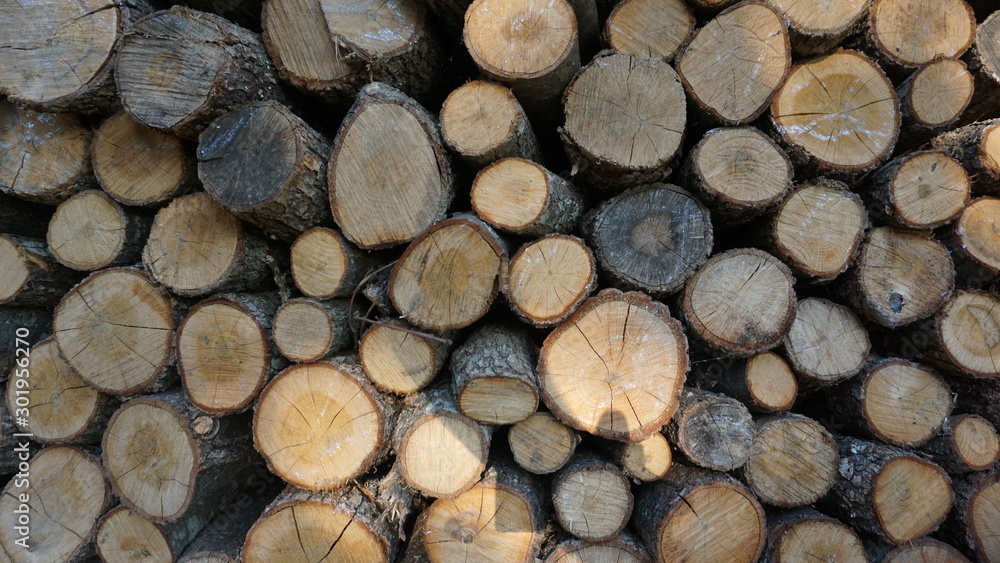 Regularly Laid Pieces Logs Of Wood For The Fireplace