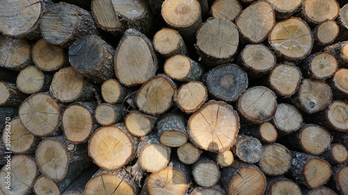 Regularly Laid Pieces Logs Of Wood For The Fireplace
