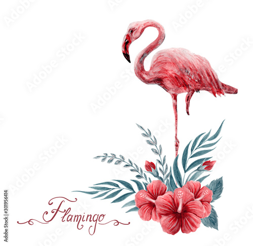 Hand drawn watercolor painting with flamingo and Chinese Hibiscus rose flowers isolated on white background. © Marisha
