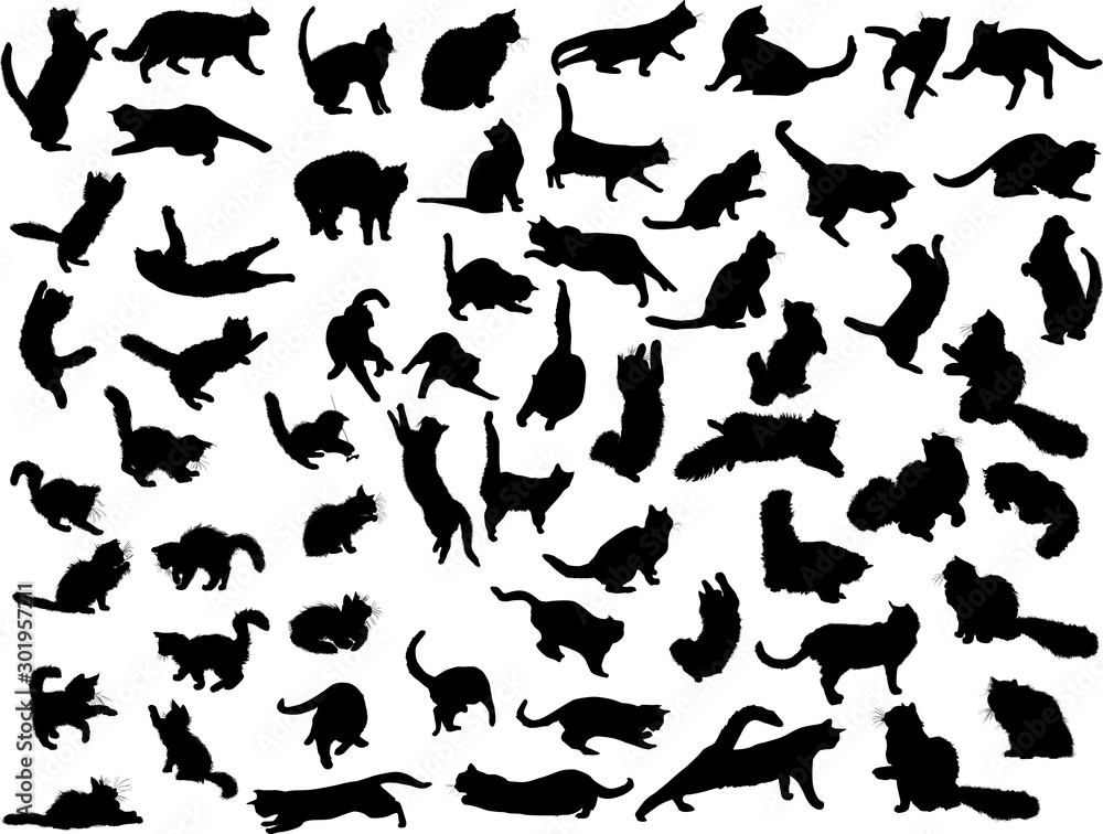 sixtyl black cats on white sixtyl black cats on white