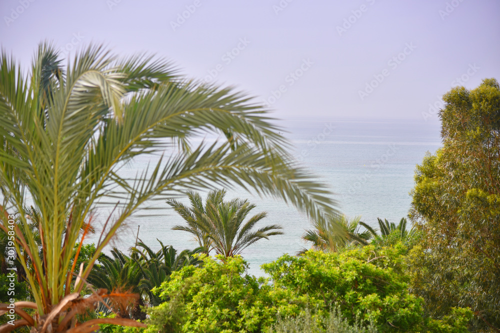Beautiful Tropical beach in sunny day. Uninhabited island. Landscape of a tropical island and rocky mountains