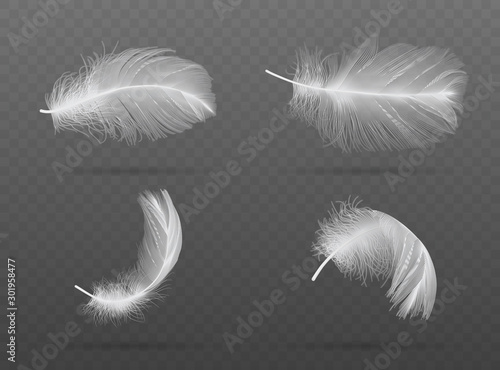 set of falling white bird feather on a dark background  vector