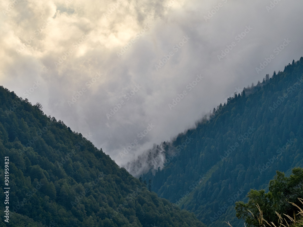 Obraz premium Foggy gorge; dense clouds floating between mountain ranges; trekking route in nature terrain; mountain trail through mist, sunset time in mountain ravine, Bzerpinskiy karniz, Russia