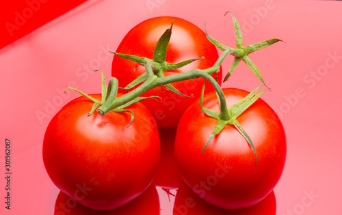 Still life of red tomatoes, studio shot photo