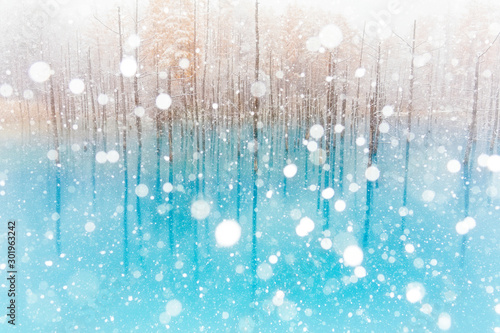 冬の青い池 © makieni