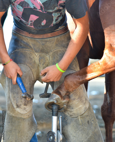 Blacksmith Works on Shoeing Horse