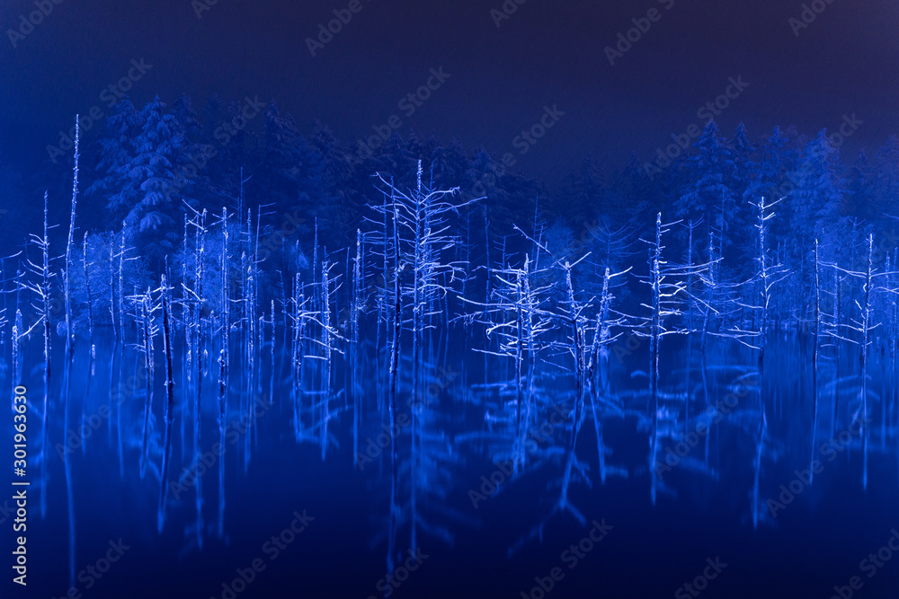 夜の青い池