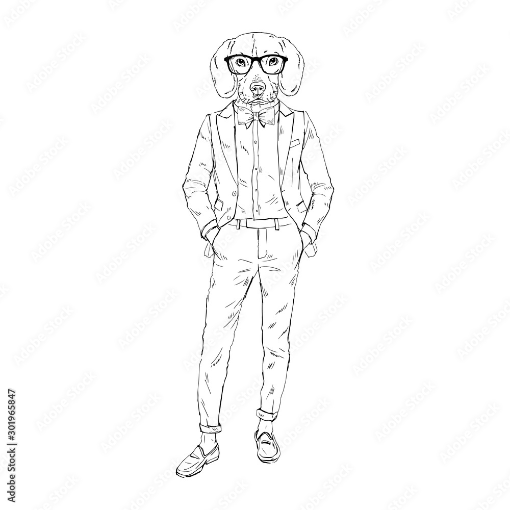 Humanized Beagle breed dog dressed up in retro outfits. Design for dogs lovers. Fashion anthropomorphic doggy illustration. Animal wear suit, tie bow, glasses. Hand drawn vector. Humanized Beagle breed dog dressed up in retro outfits. Design for dogs lovers. Fashion anthropomorphic doggy illustration. Animal wear suit, tie bow, glasses. Hand drawn vector.