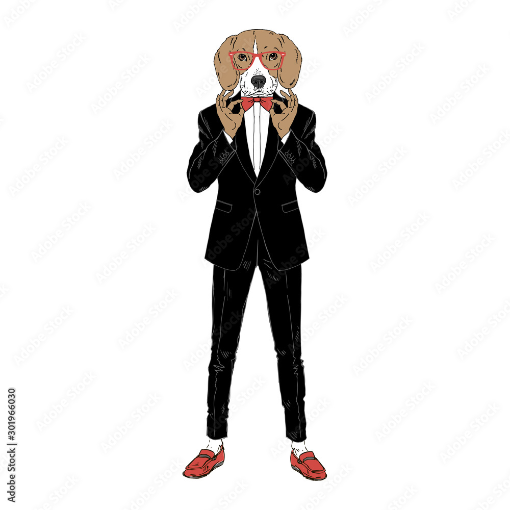 Humanized Beagle breed dog dressed up in classy outfits. Design for dogs  lovers. Fashion anthropomorphic doggy illustration. Animal wear tuxedo, tie  bow, glasses. Hand drawn vector. Stock Vector | Adobe Stock