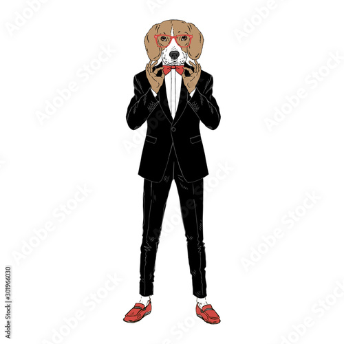 Humanized Beagle breed dog dressed up in classy outfits. Design for dogs lovers. Fashion anthropomorphic doggy illustration. Animal wear tuxedo, tie bow, glasses. Hand drawn vector.