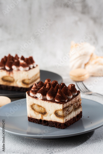 Wallpaper Mural Tiramisu - Classical dessert with mascarpone and coffee. Delicious Tiramisu cake on a darck plate on a light marble background. Vertical photo. Torontodigital.ca