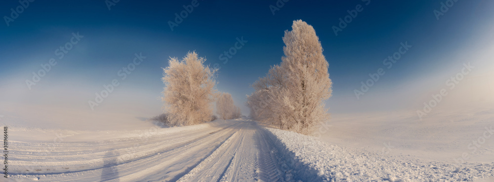 Panoramic view of a snowy road with trees. Christmas mood - obrazy, fototapety, plakaty 
