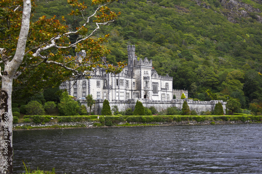 Fototapeta premium Burg am See mit Wald in Irland