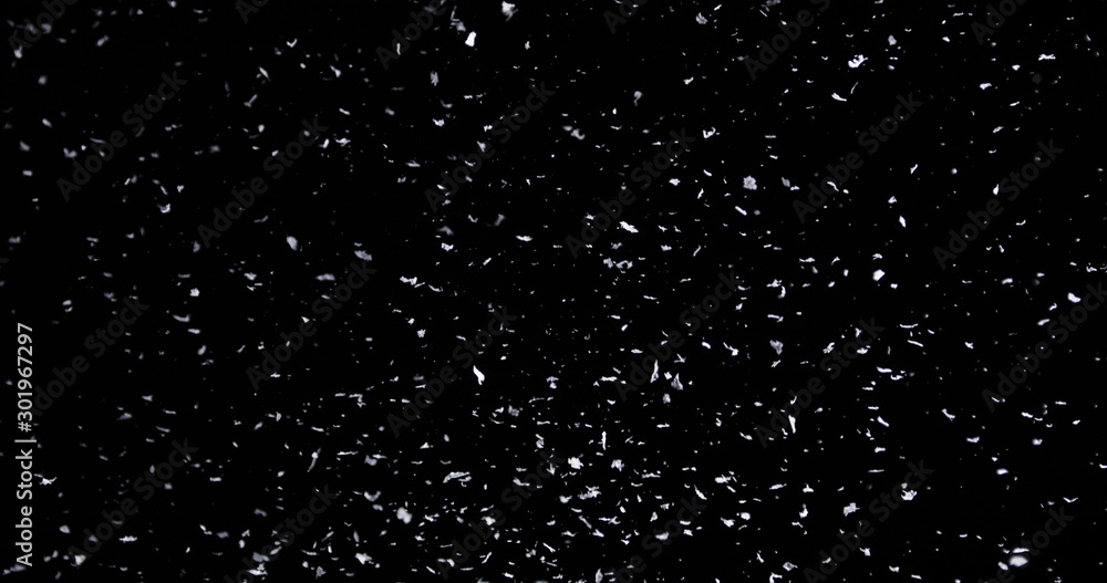 Falling real snowflakes, heavy snow, shot on a black background, frosted, wide-angle, insulated, ideal for digital composition, post-production