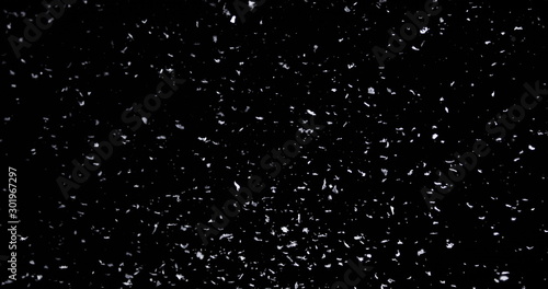 Falling real snowflakes, heavy snow, shot on a black background, frosted, wide-angle, insulated, ideal for digital composition, post-production © mputsylo
