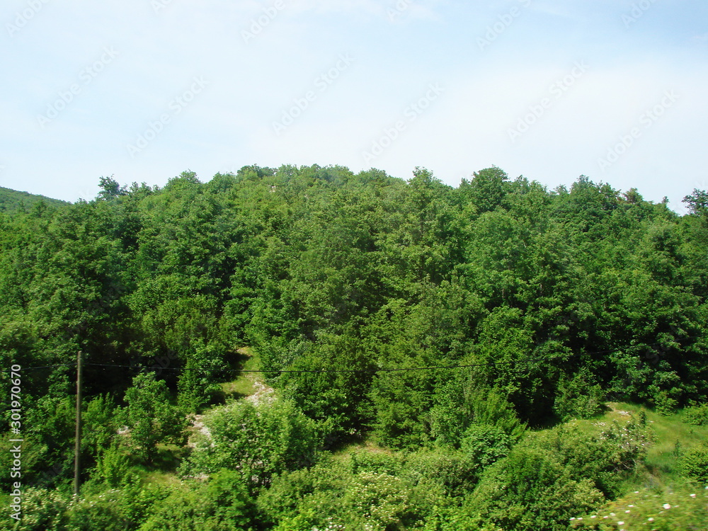 Panorama of lush green vegetation on the outskirts of the village at the foot of a mountain ridge against the backdrop of a morning barely cloudy blue sky.