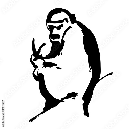 Monkey sits on a tree and eats a banana. Vector illustration. photo