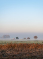 Canvas schilderij Blauw Nederlandse boerderij in herfstmist  © Fran
