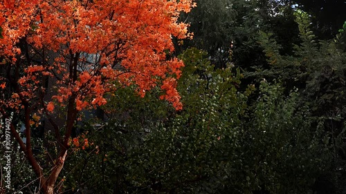 The bridge and sea view of Dalian City, Liaoning Province, China