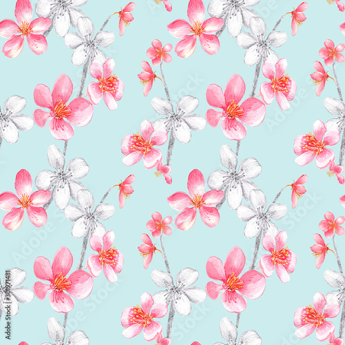Beautiful seamless pattern with pink, black and white cherry blossom, and leaves on a blue background. Hand painted in watercolor.