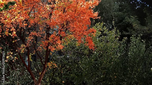 The bridge and sea view of Dalian City, Liaoning Province, China