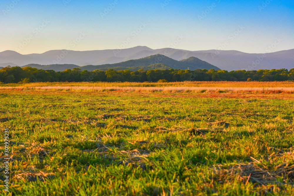 harvested field, orange-green in the background of purple mountains and sky.
