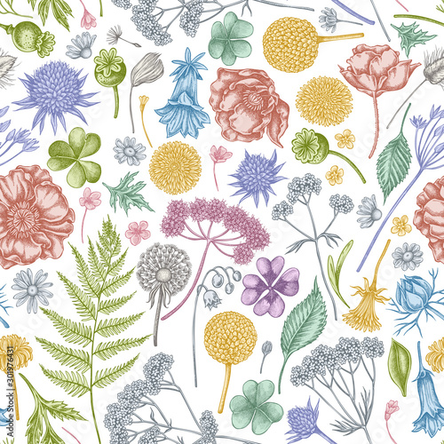 Seamless pattern with hand drawn pastel shepherd's purse, heather, fern, wild garlic, clover, globethistle, gentiana, astilbe, craspedia, lagurus, black caraway, chamomile, dandelion, poppy flower