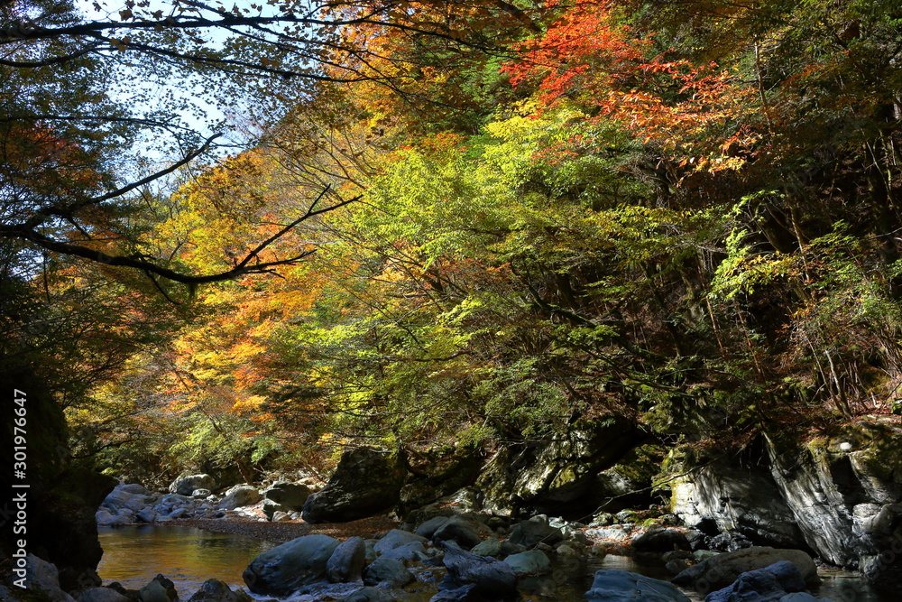 秋色に染まる奥祖谷(徳島県) 秋色に染まる奥祖谷(徳島県)