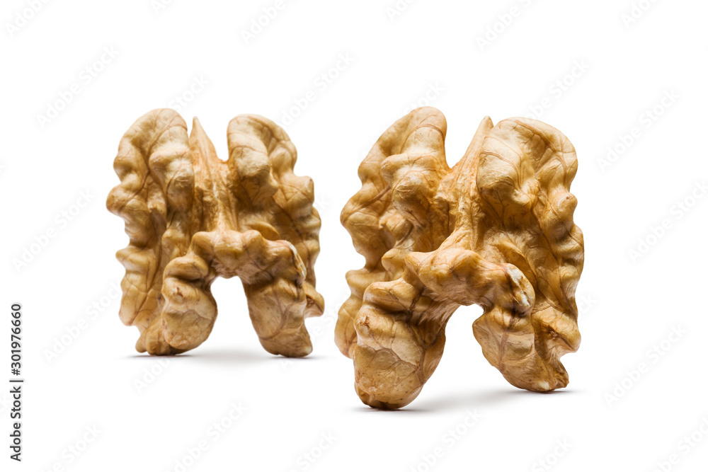 two walnuts without shell on white background two walnuts without shell on white background