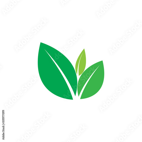 Fototapeta Naklejka Na Ścianę i Meble -  green leaf ecology nature element vector