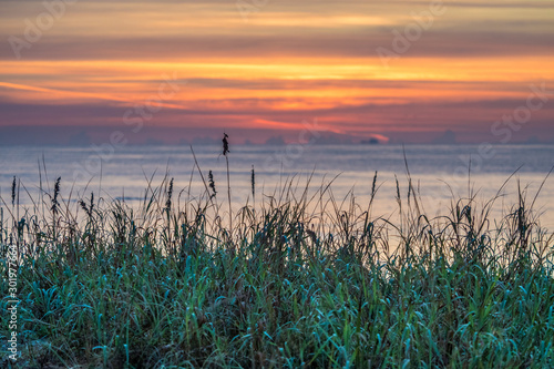 The grass on the sea dunes with sunrise on background