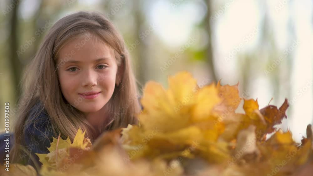 Cute little girl with her hair walks in a beautiful park, lies on the grass and collects a bouquet of leaves and dreams Cute little girl with her hair walks in a beautiful park, lies on the grass and collects a bouquet of leaves and dreams