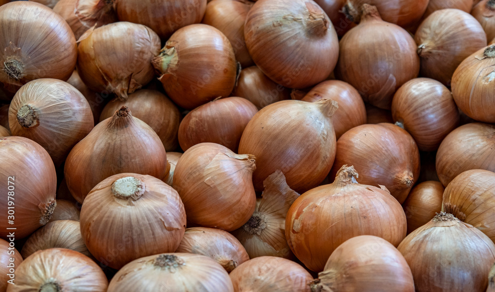 Onions Funchal market Madeira, Portugal, Europe