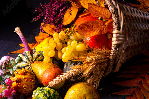 Fotografie The beautiful and autumnal cornucopia