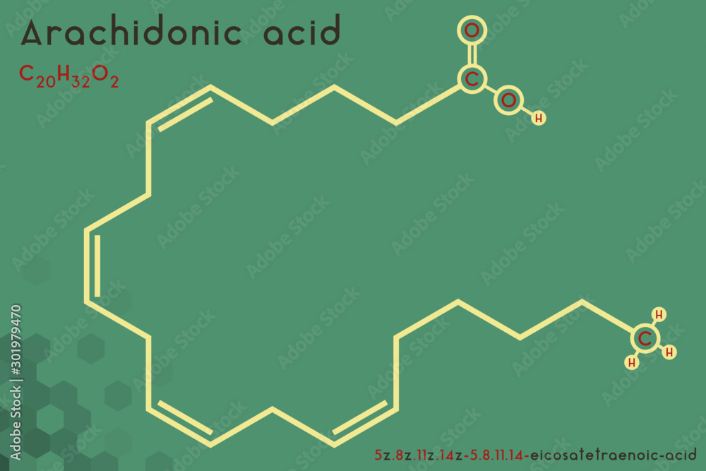 Large and detailed infographic of the molecule of Arachidonic acid