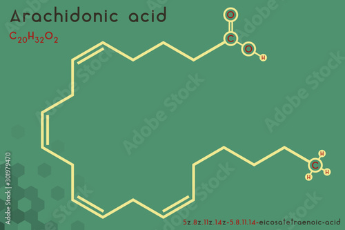 Large and detailed infographic of the molecule of Arachidonic acid