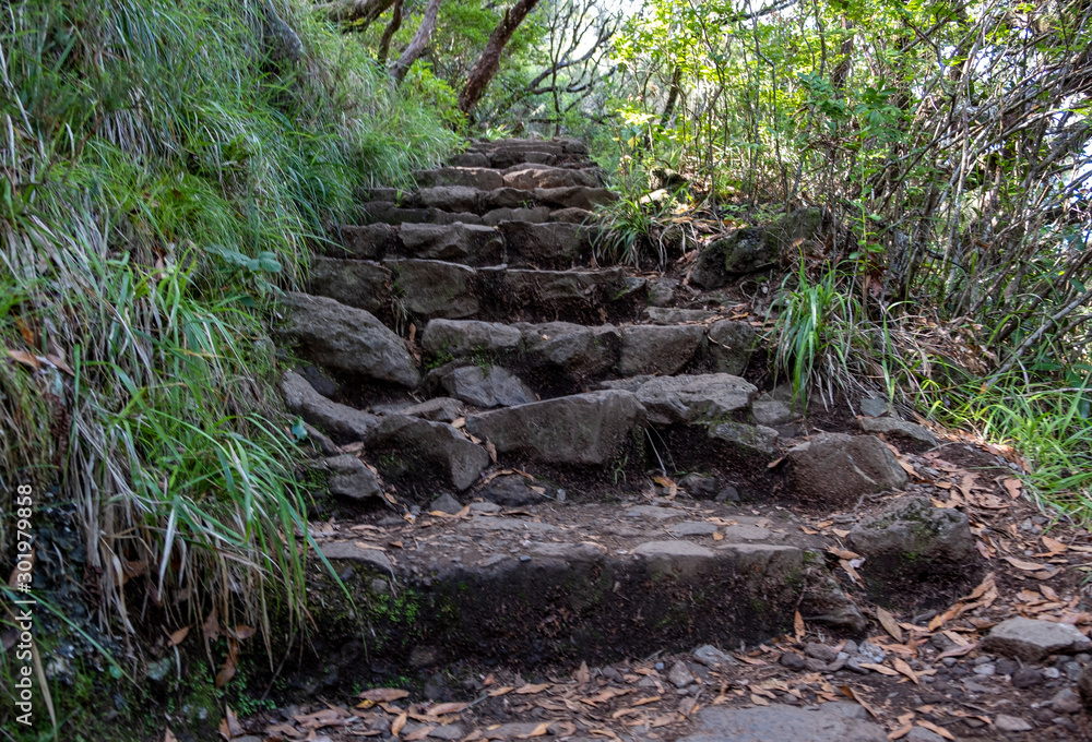 Levada Do Risco, PR6, from Rabacal Madeira, Portugal, Europe Levada Do Risco, PR6, from Rabacal Madeira, Portugal, Europe