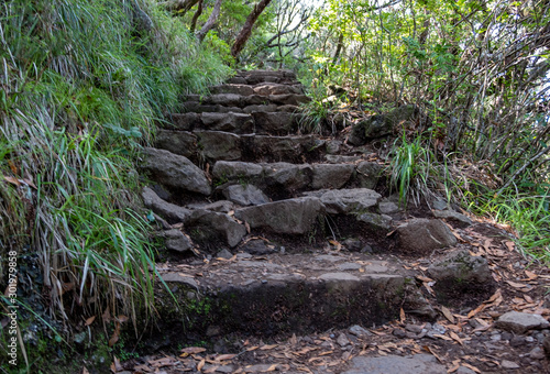 Levada Do Risco, PR6, from Rabacal Madeira, Portugal, Europe photo