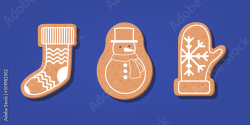 Set of traditional sweet baked christmas cookie