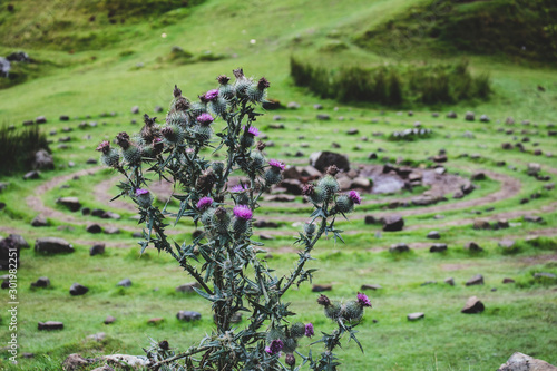 Fairy Glen, Isle of Skye, Scotland