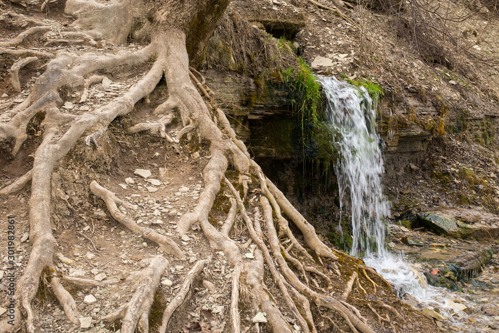 Natural textures. The spring flows from a steep rocky hillside. Early spring. Izborsk, Pskov region, Russia. Natural textures. The spring flows from a steep rocky hillside. Early spring. Izborsk, Pskov region, Russia.