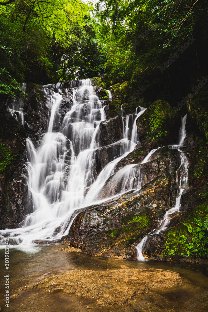 Obraz premium 白糸の滝 福岡県糸島市