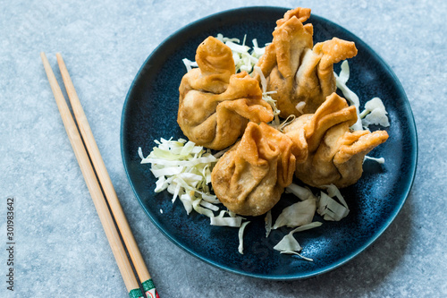 Nepalese Traditional Deep Fried Dumpling Momos served with Tomato Chutney, Schezwan sauce and Cabbage salad. photo