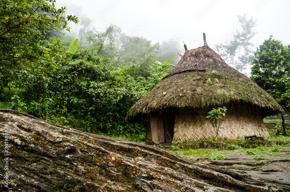 Indigenous hut in Ciudad Perdida in Colombia