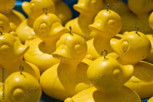 Obraz na plátně Circus rubber ducks floating in a bath.