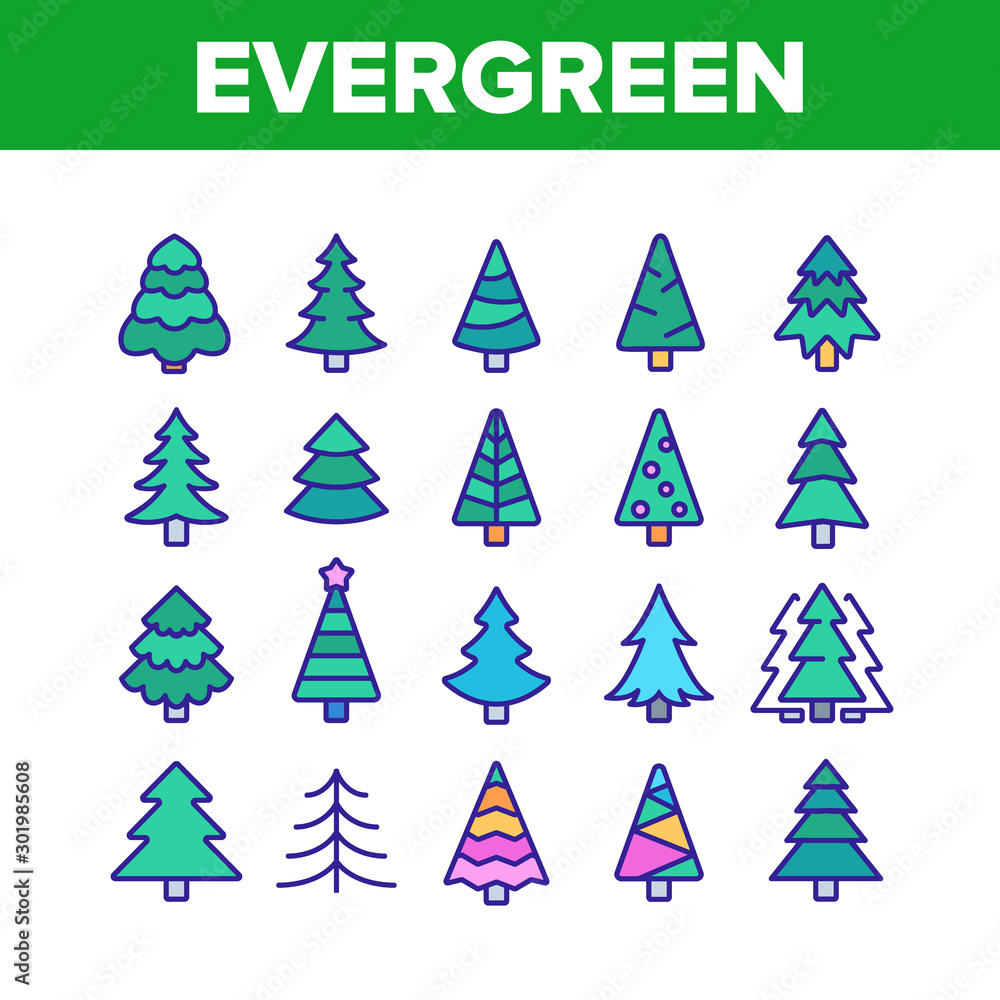 Evergreen Pine Tree Collection Icons Set Vector Thin Line. Evergreen Fir With Needles, Christmas Ornament Concept Linear Pictograms. Nature Forest And Woodland Color Illustrations